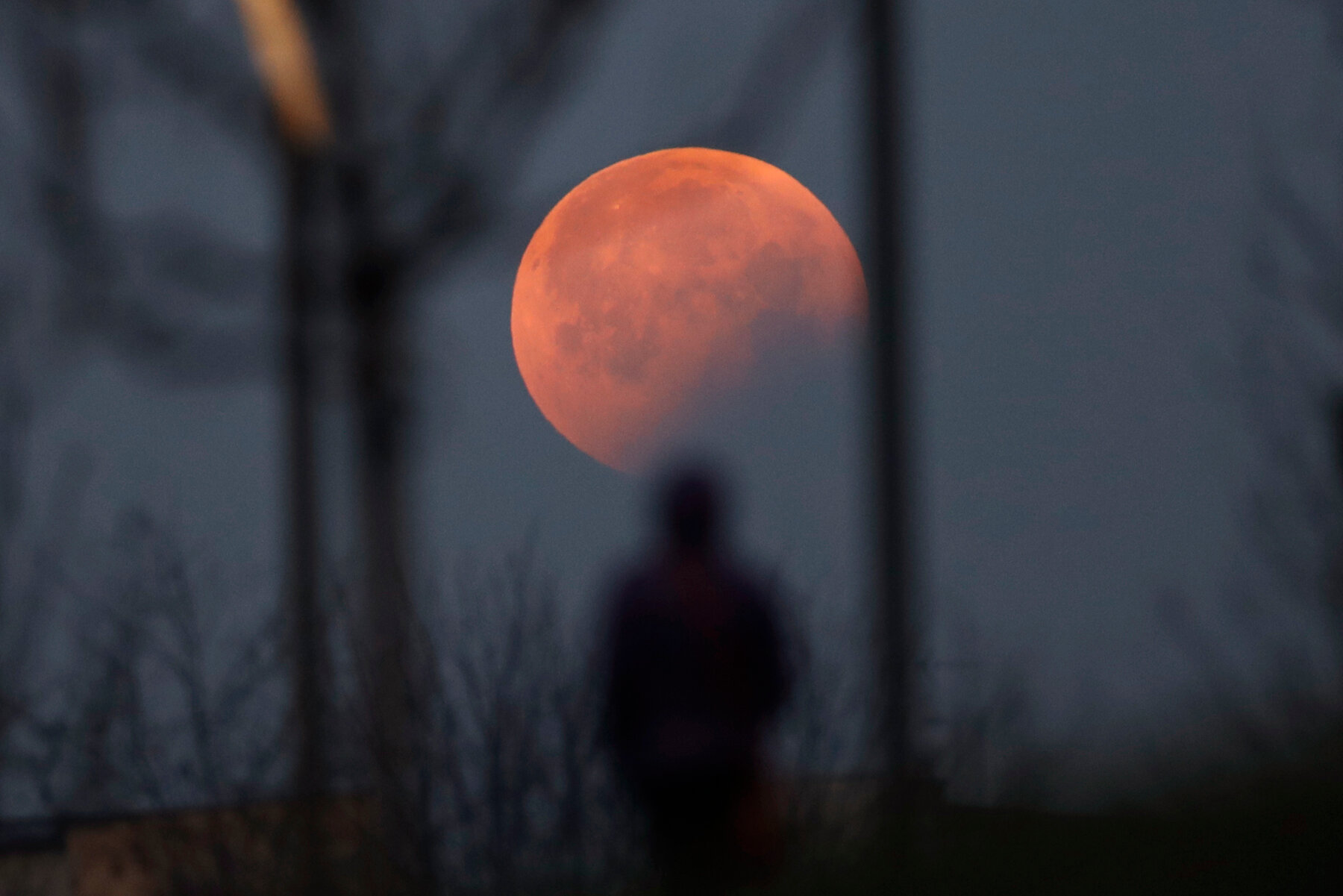 القمر الوردي خسوف القمر من أجمل الظواهر الفلكية التي من الممكن التمتمع بها في شهر نوفمبر قمر القندس