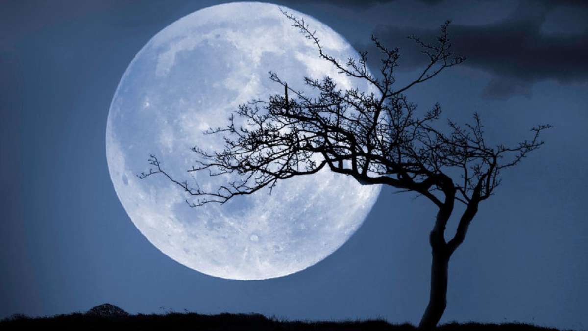 القمر الذئب و قمر الحصاد و القمر الوردي أسماء أطلقها القدماء على ظاهرة اكتمال القمر .. ما سبب هذه التسميات و ماهي أهم الأحداث القمرية لعام 2022 ؟