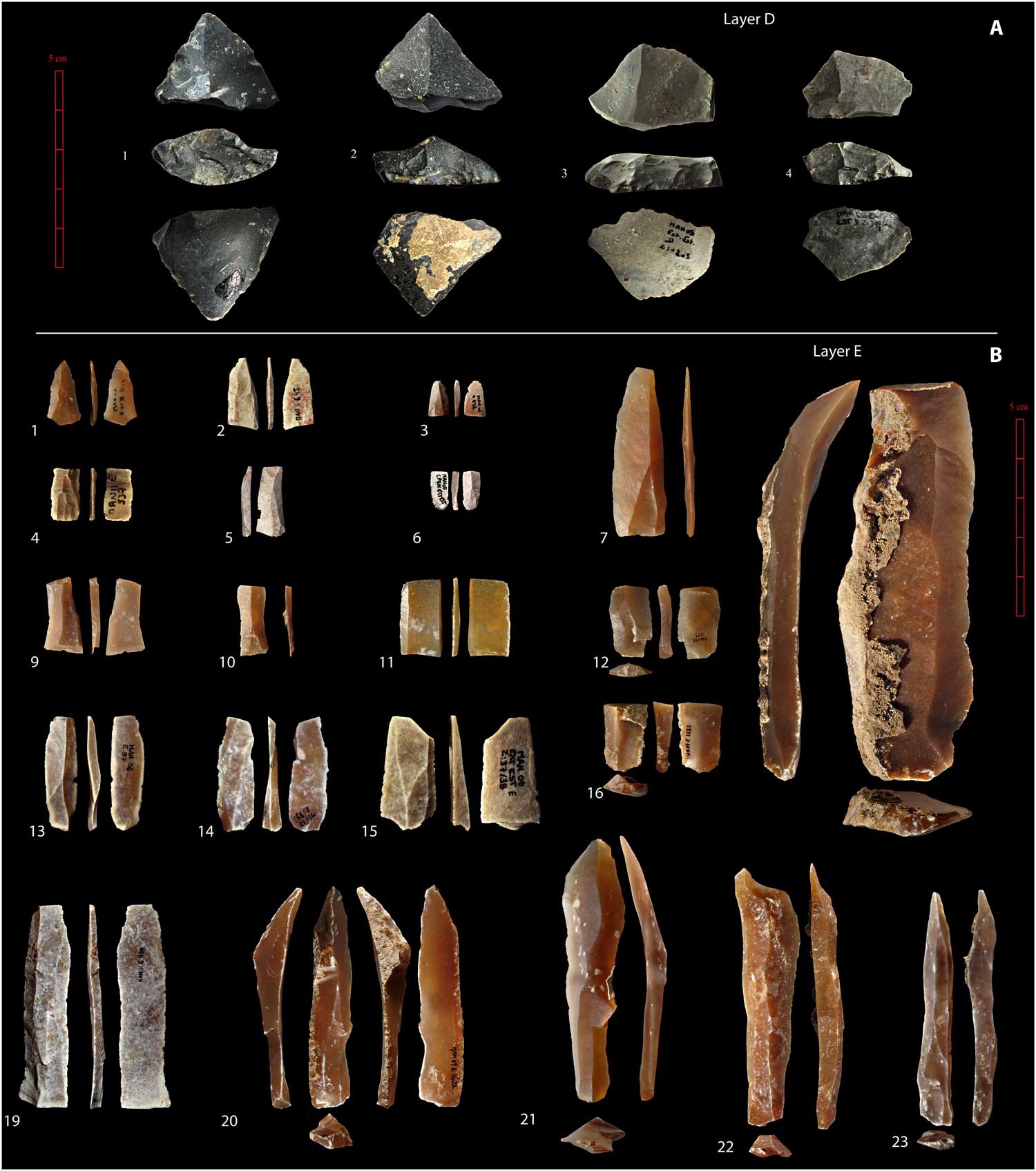 أغرب الاكتشافات التي قام بها علماء الآثار في التاريخ البشري
مصر القديمة الهند 
